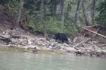 resIMG_20170716_173236_8734.JPG